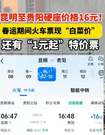 一元白菜价车票